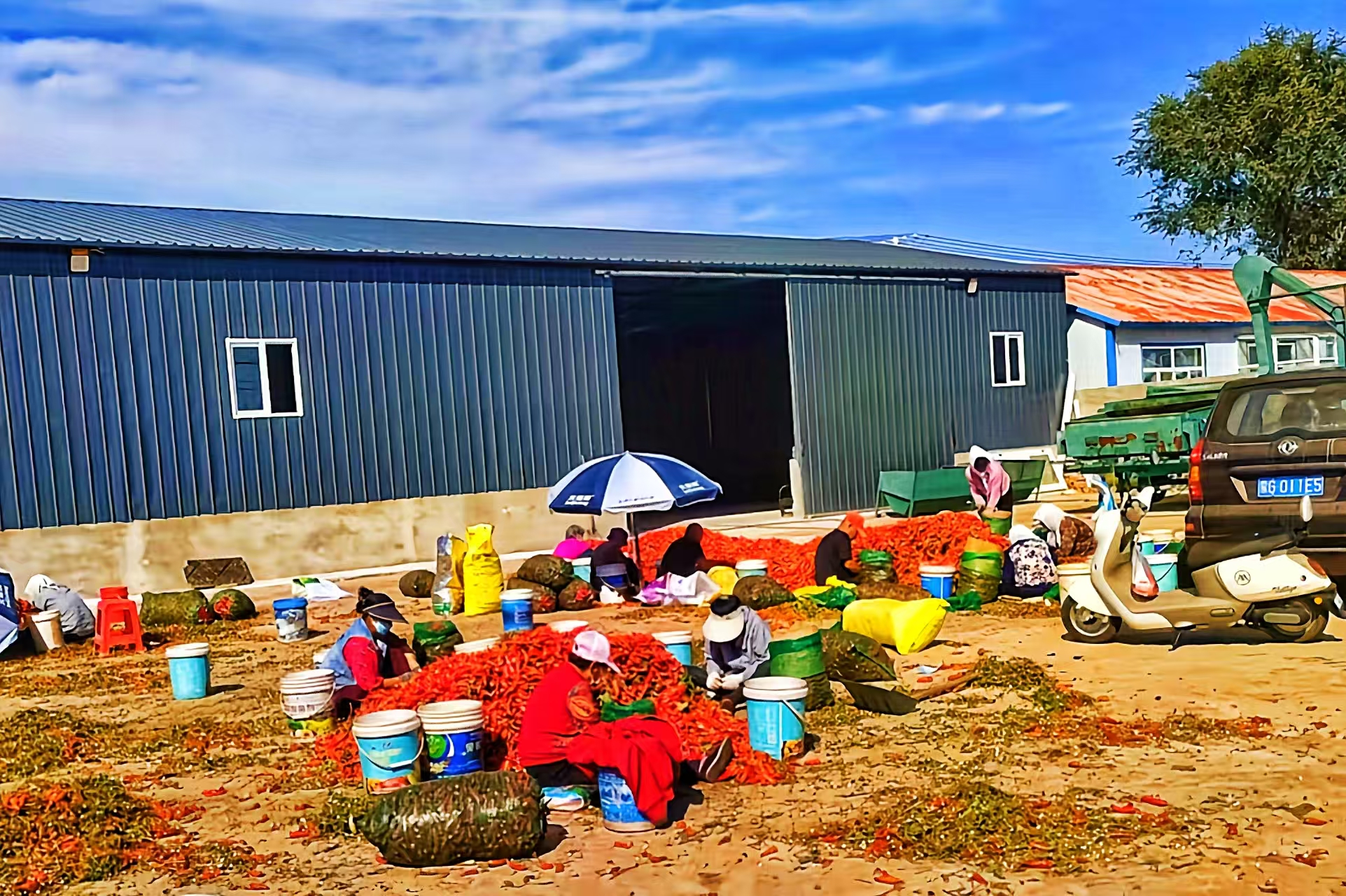 1759977969080068038.jpg 53e763936bb6ffeb4fc65f35f9ffa70f.jpg