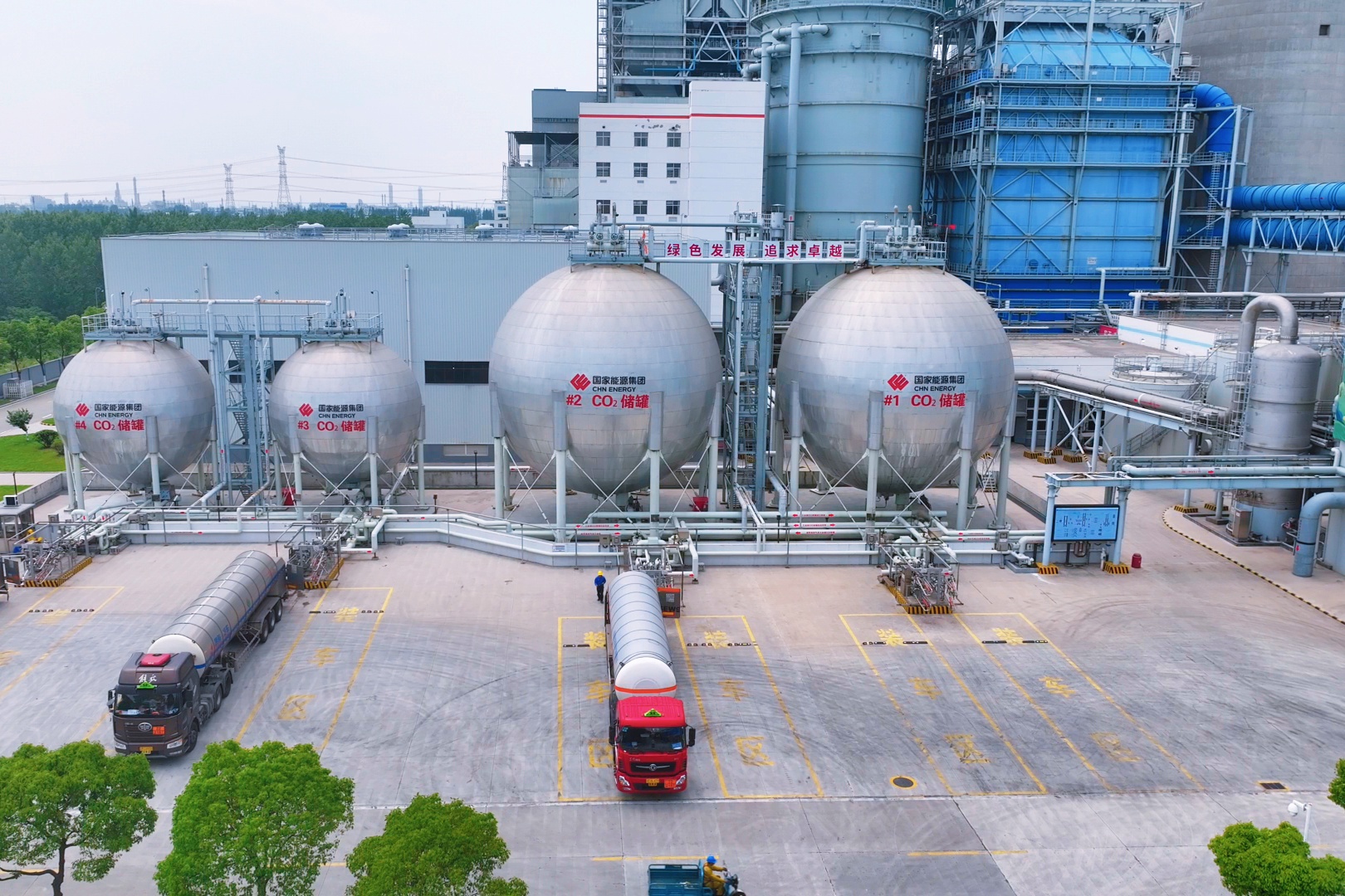 国产午夜福利十八禁在线观看