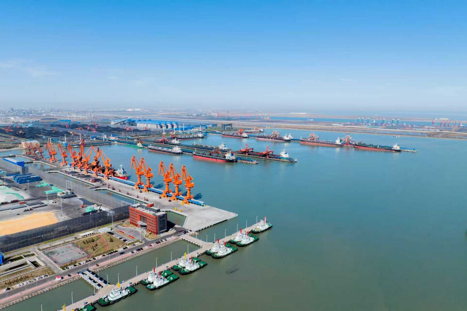 国产午夜福利十八禁在线观看