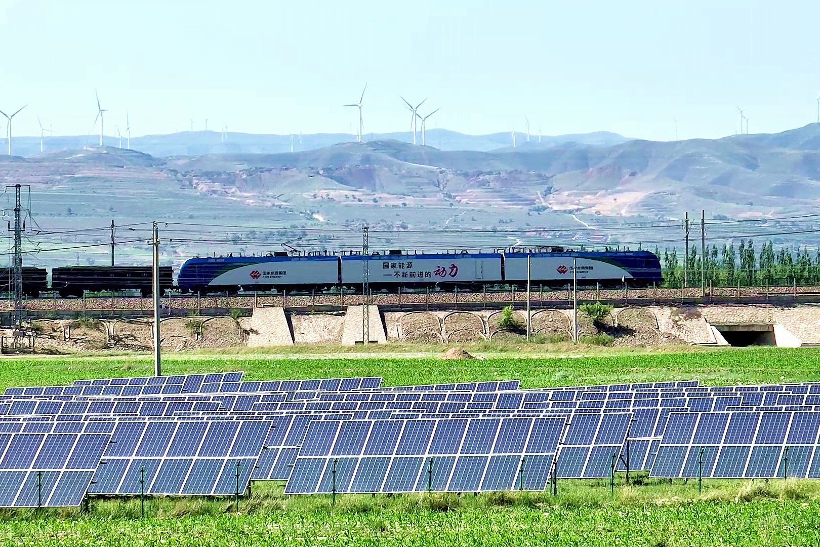 国产午夜福利十八禁在线观看