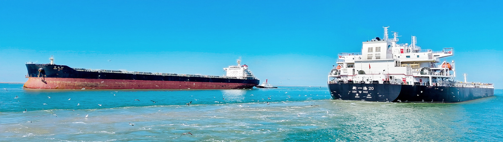 国产午夜福利十八禁在线观看