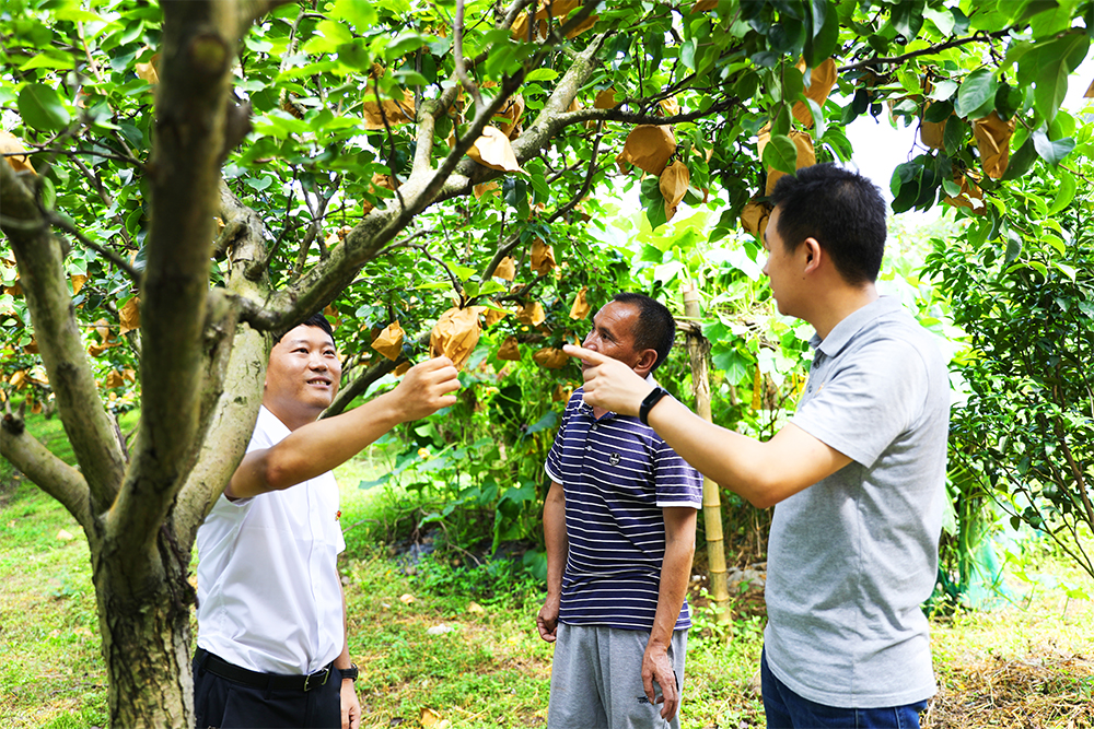 国产午夜福利十八禁在线观看