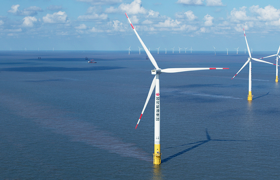 国产午夜福利十八禁在线观看