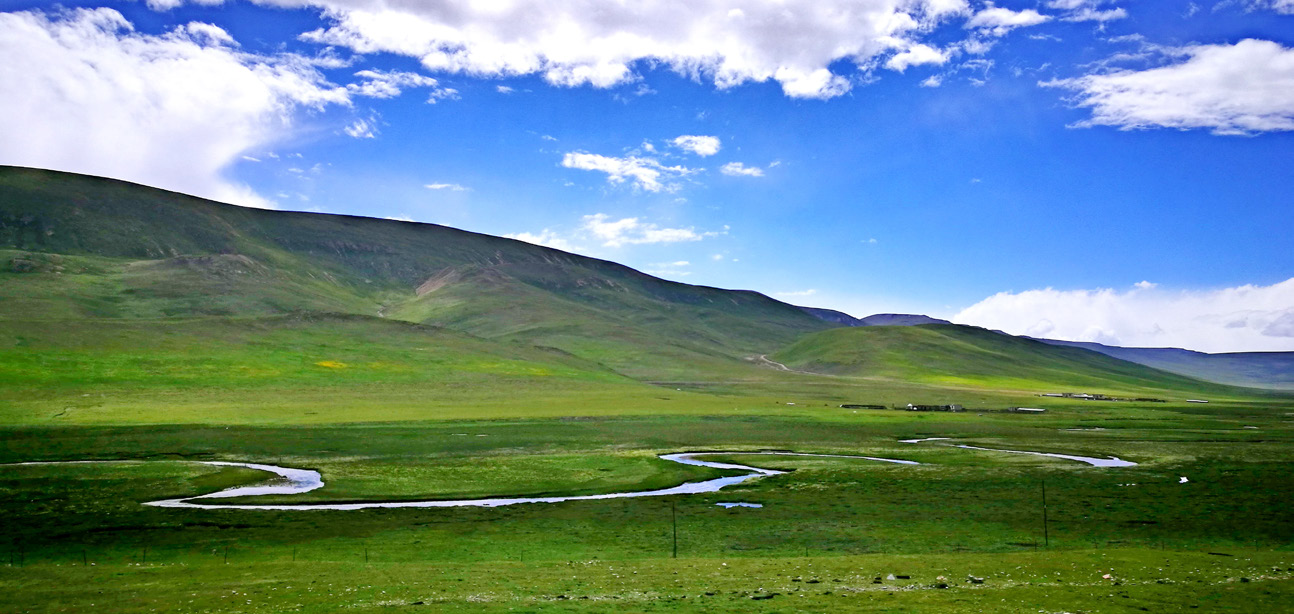 国产午夜福利十八禁在线观看