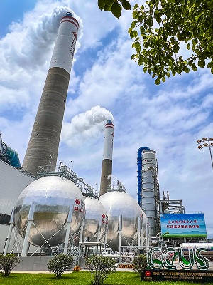 国产午夜福利十八禁在线观看